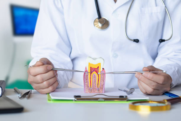Best Emergency Broken Tooth Repair in Walkertown, NC